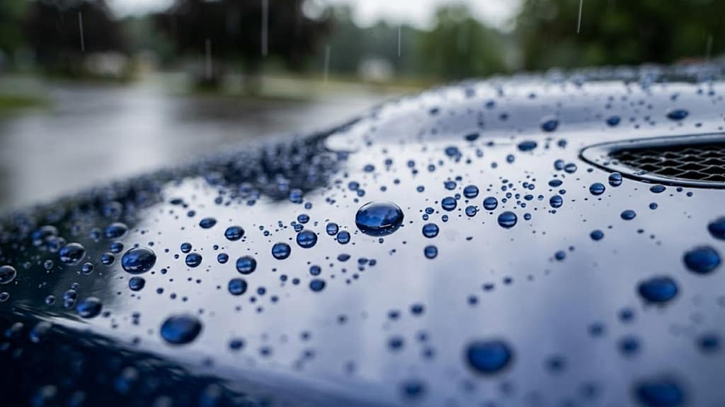 Close-up of perfect, spherical water beads on a car hood during rain, demonstrating the hydrophobic effect of a ceramic coated car.